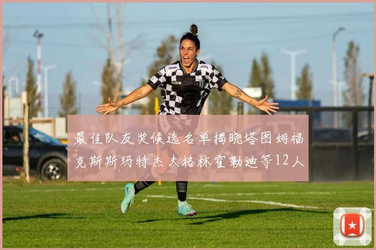 最佳队友奖候选名单揭晓塔图姆福克斯斯玛特杰夫格林霍勒迪等12人争夺荣耀