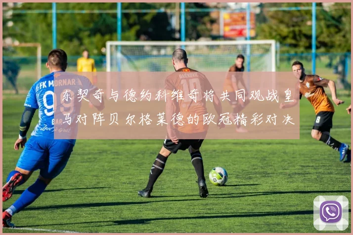 东契奇与德约科维奇将共同观战皇马对阵贝尔格莱德的欧冠精彩对决