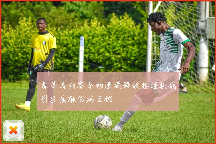 蒙哥马利赛季初遭遇强敌接连挑战引发接触伤病困扰