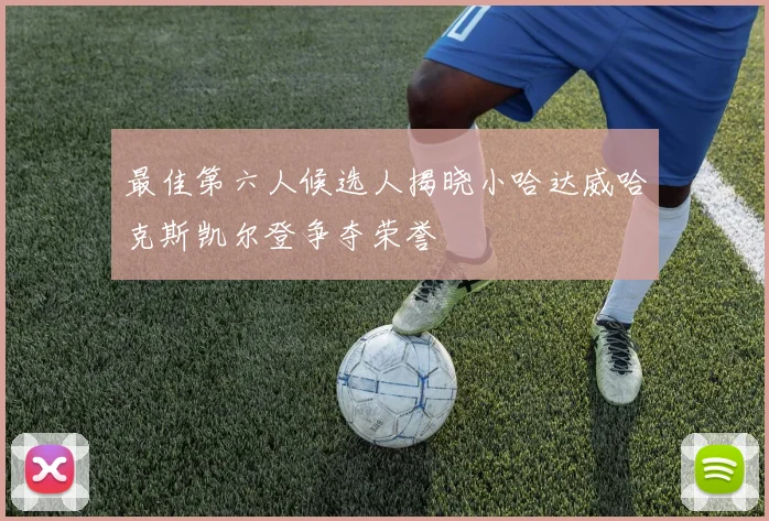 最佳第六人候选人揭晓小哈达威哈克斯凯尔登争夺荣誉