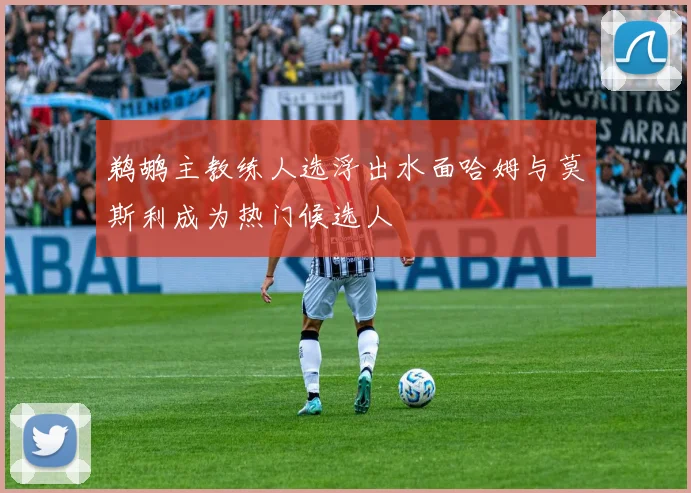 鹈鹕主教练人选浮出水面哈姆与莫斯利成为热门候选人